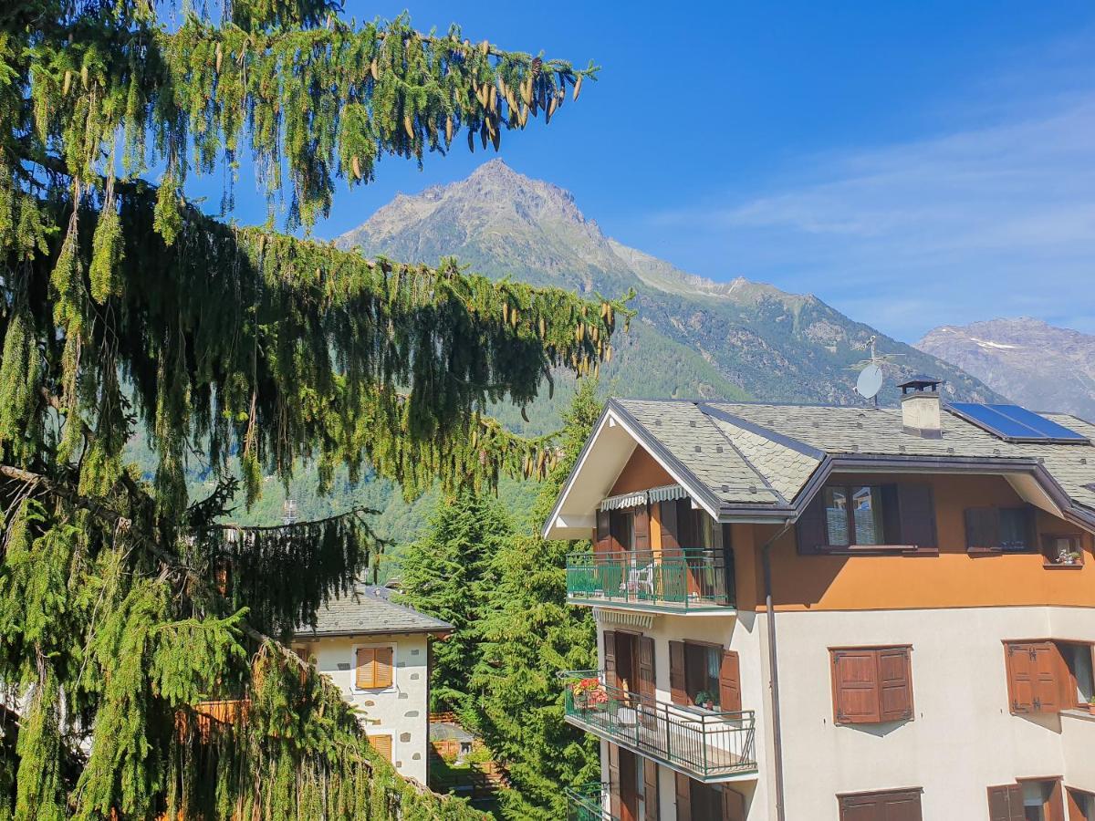 Hotel Fior Di Monte Caspoggio Eksteriør bilde